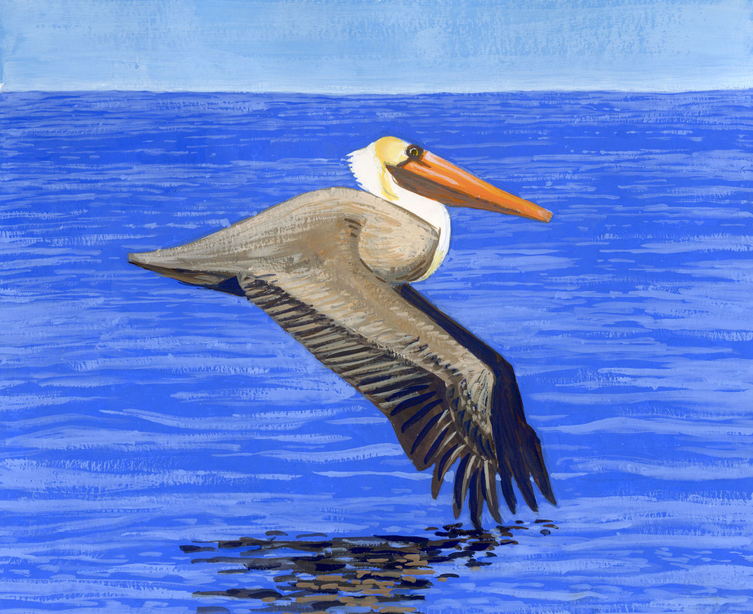 2023-03-11-pelican-sm